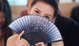 张嘉倪爆料陈晓女友视频,揭秘娱乐圈幕后故事